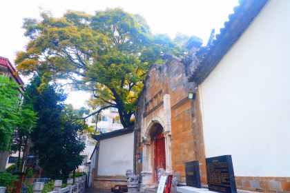 石屏会馆老普洱菜