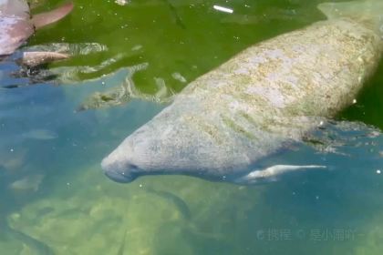 Casablanca Seafood Bar & Grill