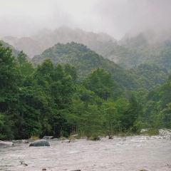 知青小镇 User Photo