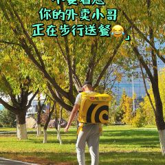 Navat張用戶圖片
