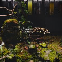 腾越荟·花园私厨 User Photo