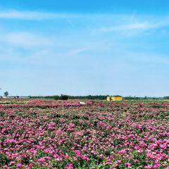 云间花境餐厅 User Photo
