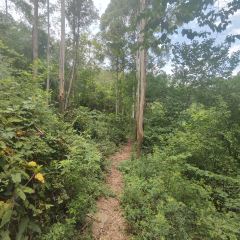 山涧别院 User Photo