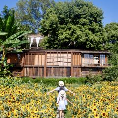 介个院子·草坪团建·围炉冰粉 User Photo