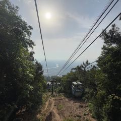 A MI DA PAI DANG User Photo