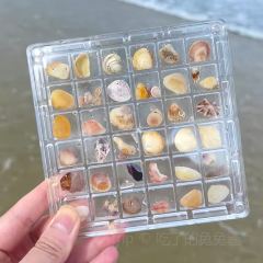 Da Fu Xing Yu Wan (Mei Shi Jie) User Photo