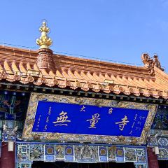 杨老大焙子月饼干货(宽巷子民族美食街店) 여행 사진