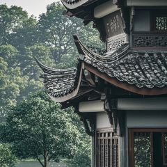 阿动埔田笋粿(锦绣家园店) User Photo