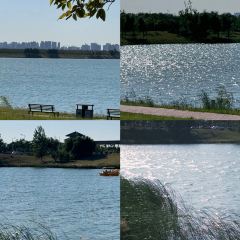 TAI HU YING XIANG User Photo