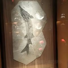福成厚江鱼壹号(松北店) User Photo