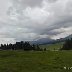 高胡赛东乡人家 User Photo