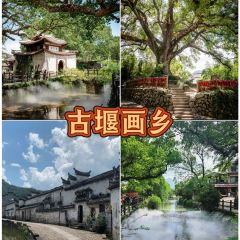 NA MING YIN XIANG User Photo