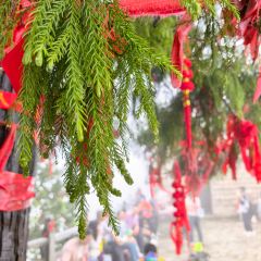 南湾鱼味馆 User Photo