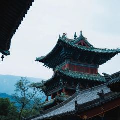 高玮削面馆 User Photo