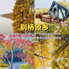 南山一品酒樓張用戶圖片