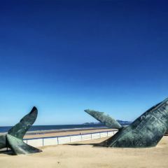 海岛日记(养马岛店) User Photo