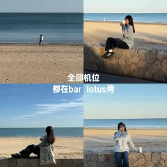 Bar Lotus User Photo