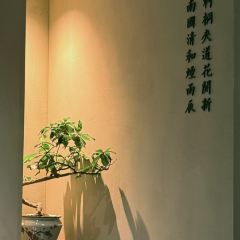 ZAYTON COURTYARD User Photo