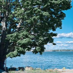 Restaurant Lonna User Photo