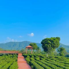 永盛酒樓張用戶圖片