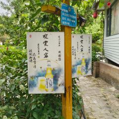 晓雯人家 User Photo