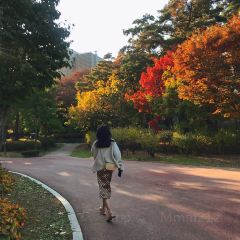 더로열푸드앤드링크 User Photo