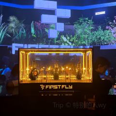 FIRST FLY·CLUB 여행 사진