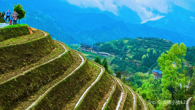 Thousand-Layered Heavenly Ladder