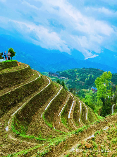 Longji Rice Terraces - Thousand-Layer Heavenly Ladder