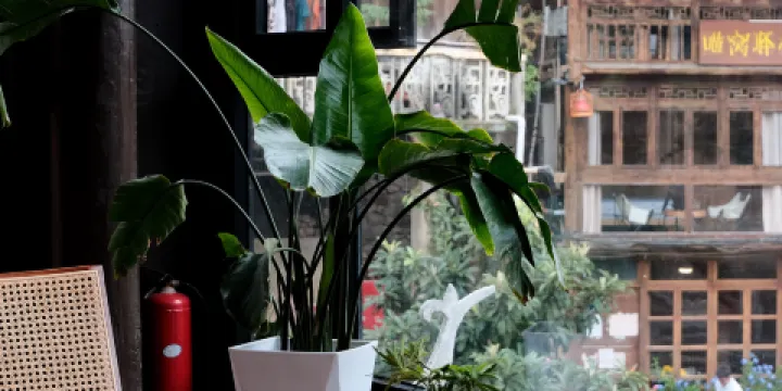 肇興無憂咖啡館