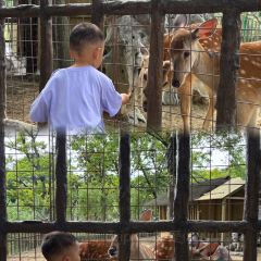 烤包子咖啡屋·洋食 User Photo