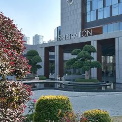 More by Sheraton User Photo