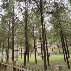 Bantongshui (huaihai) User Photo