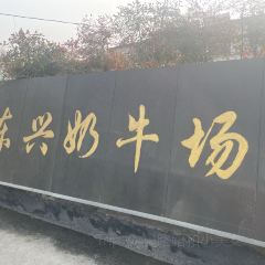 Seeing Tea User Photo