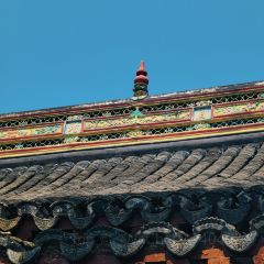 狼山紫琅素面 User Photo