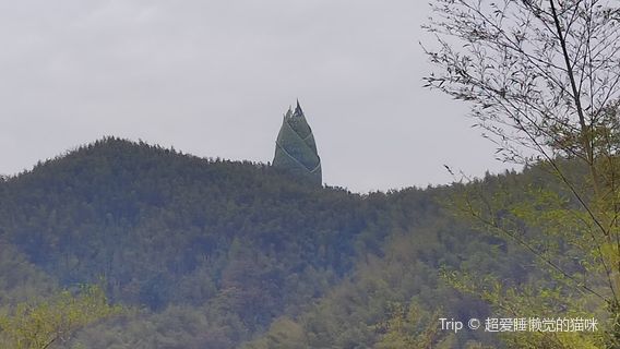 Taohuajiang Bamboo Sea Scenic Area - Bamboo Sea Greenery Viewing Tower