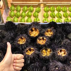 双合园·海鲜水饺青岛菜(经三路店) User Photo