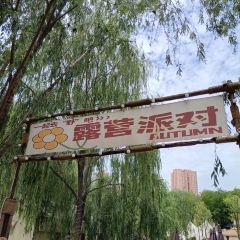 China Town Chinese Restaurant 여행 사진