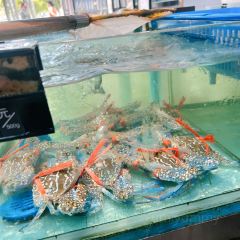 波哥私房菜(金沙湾店) User Photo