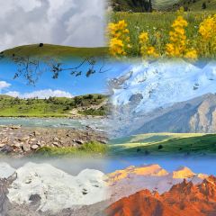 鲁朗石锅城·松茸天麻石锅鸡 User Photo