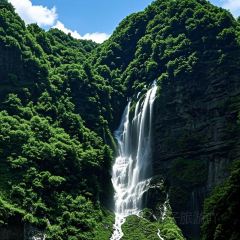 林記豆湯圓子火鍋張用戶圖片