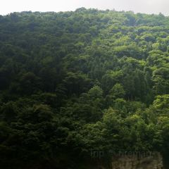 云上玥家园度假酒店·餐厅 User Photo