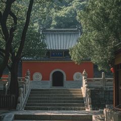 济南名吃油旋甜沫 User Photo