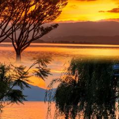 正宗会理鸡火丝(龙眼井店) User Photo