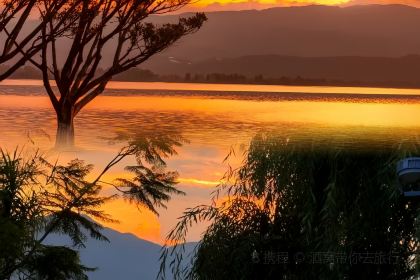 正宗会理鸡火丝(龙眼井店)