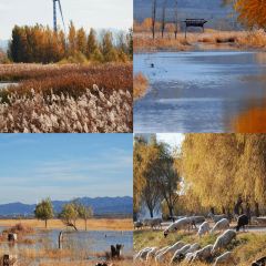 村里香农家菜 User Photo