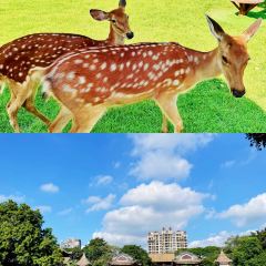 JUFUSHANZHUANG User Photo