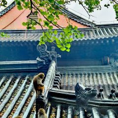 WU SHI SHAO KAO User Photo