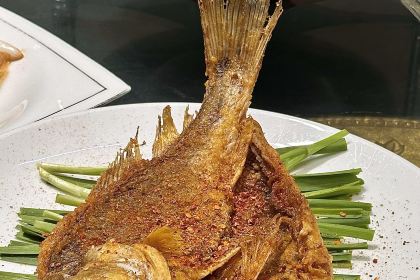 万家私房菜-鸽子店