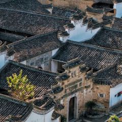 徐记煨盐鸡 User Photo